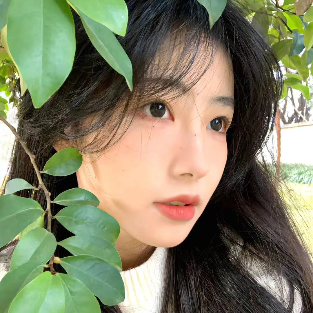 阿拉斯加的冒险者